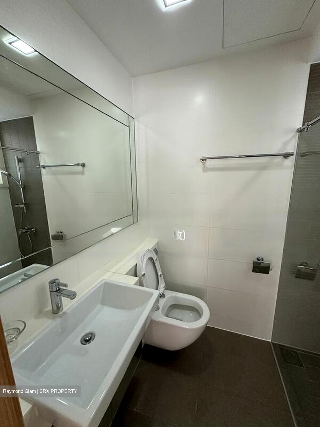 Shelford Suites (D11), Condominium #434844511